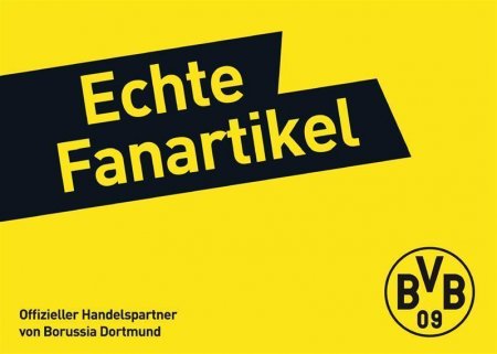 BVB Fanschal BLOCKSTREIFEN  mit Sticklogo Borussia Dortmund Fanschal TOP ARTIKEL