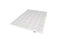 Kauffmann Daunendecke Kassettendecke Bavaria 200 x 220 cm Steppung 8 x 8 Füllgewicht: = 960 g warm
