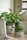 Knit Factory Lynn Decke 160x130 cm Glatt Beige