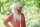 Knit Factory June Strickjacke 36/38 Glatt Rot
