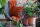 Knit Factory James Kissen 50x50 cm Glatt Anthrazit