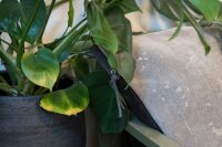 Knit Factory James Kissen 50x50 cm Glatt Rot