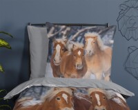 Good Morning Biber Bettwäsche 135 X 200 cm + 1 x 80 X 80 cm Happy Horses bunt
