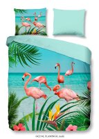 Pure Microfaser Bettwäsche 2 teilig Bettbezug 140 x 220 cm Kopfkissenbezug 60 x 70 cm Flamingo 6422.99.01 Multi