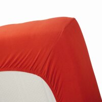 Beddinhouse Jersey Spannbettlaken -Elasthan Lycra Hl Coral 180/ /220 Cm Hh: 35 Cm 180/ /220 cm Steghöhe: 35 cm 1