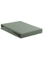 Beddinhouse Jersey Spannbettlaken , Baumwolle 160 Td...