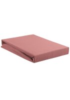 Beddinhouse Jersey Spannbettlaken , Baumwolle 160 Hl Pink...