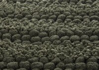 Heckett and Lane  Roberto Bidetmatte 60x60 Army Green...