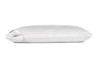 Heckett and Lane  Gold boxkussen 40/80 100% Hollowfibre...