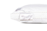 Heckett and Lane  Gold boxkussen 40/80 100% Hollowfibre 500 Gr, None Gold-100-Hollow-Fibre