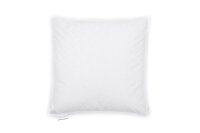 Heckett and Lane  Platinum puntkussen 80/80 90% WGD 600 Gr, None Platinum-90-WGD