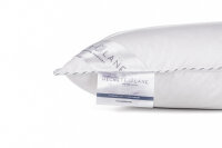 Heckett and Lane  Platinum puntkussen 80/80 90% WGD 600 Gr, None Platinum-90-WGD