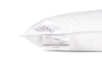 Heckett and Lane  Gold puntkussen 80/80 65% WGD 750 Gr, None Gold-65-WGD