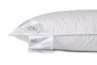 Heckett and Lane  Silver puntkussen 40/80 20% WGD 450 Gr, None Silver-20-WGD