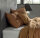 Zo!Home Mako Satin Satinado 2x Kissenbezug 50x50 Cognac Brown Uni Cognac-Brown