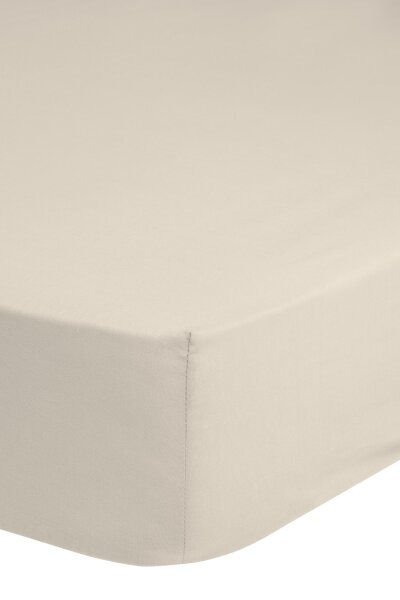 good morning Jersey Spannbettlaken 1 teilig 80/90/100 X 200 cm  Ecru