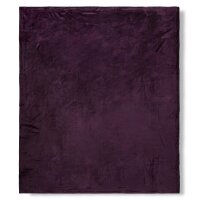 hip 100 % Polyvelvet Kuscheldecke 1 teilig 160 X 180 cm...