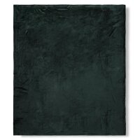 hip 100 % Polyvelvet Kuscheldecke 1 teilig 160 X 180 cm...