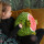 Handwärmer Kuschelwarmies Kuschelfreunde Wärmekissen Stofftier Kuscheltier Plüschtier (Wassermelone, Handwärmer 35 cm x 35 cm x 35 cm)