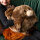 Handwärmer Kuschelwarmies Kuschelfreunde Wärmekissen Stofftier Kuscheltier Plüschtier (Rentier, Handwärmer 35 cm x 35 cm x 35 cm)