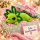 Axolotl Echse Molch Kuscheltier Figur Plüsch Tintenfisch Spiel Puppe XL 40 cm Plüschtier Püsch Wassertier grün