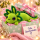 Axolotl Echse Molch Kuscheltier Figur Plüsch Tintenfisch Spiel Puppe XL 68 cm Plüschtier Püsch Wassertier grün