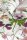 Beddinghouse Bettwäsche Renforcé + 1x Blumen Multi 135 x 200 cm, 80 x 80 cm bunt