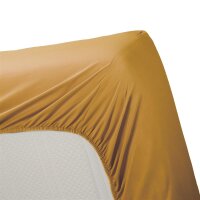 Ambiante Spannbettlaken Cotton Uni HL_Ochre_UV_UV_180x200 Steghöhe: 35 cm 1 180 x 200 cm gelb