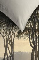 Ambiante Bettwäsche Nature_Multi_ _UV_155x220 + 1x 1...