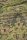 At Home by Beddinghouse Bettwäsche Persian Rug_Green_ _UV_155x220 + 1x 1 , 1 155 x 220 cm, 80 x 80 cm grün