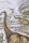Beddinghouse x Hanneke de Jager Bettwäsche Dinosaurs_ al_ _UV_100x135 + 1x 1 , 1 100 x 135 cm, 40 x 60 cm natur
