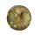 Beddinghouse x Van Gogh Museum Kissen ko Boule Fleurs Cushion_Gold_UV_UV_Dia 40cm diameter 40 cm 1 Zier Rund 40 cm