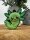 Schlüsselanhänger Mini Anhänger Geschenk Cartoon Schlüsselanhänger 6 cm Silikon Schlüsselanhänger für Handyhülle Charme Rucksack Geschenk Schlüsselanhänger Kawaii Kuties Axolotl grün