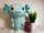 Axolotl Kuscheltier 30 cm – XL Plüschtier Molch/Echse türkis