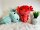 Axolotl Kuscheltier 30 cm – XL Plüschtier Molch/Echse türkis