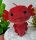 Axolotl Kuscheltier 30 cm – XL Plüschtier Molch/Echse rot