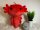 Axolotl Kuscheltier 30 cm – XL Plüschtier Molch/Echse rot