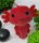 Axolotl Kuscheltier 30 cm – XL Plüschtier Molch/Echse rot