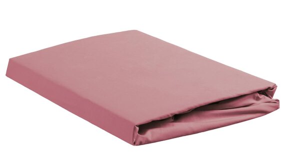 Ambiante Spannbettlaken  Baumwoll Uni HL Pink 200x210/220 rosa