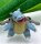 Pokemon Turtok 25 cm Kuscheltier Pl&uuml;schtier Stofftier Weitentwicklung Schiggy Anime Kawaii Plush Stofftier Cute Plushie Halloween Weihnachten Geschenke f&uuml;r Kinder