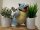 Pokemon Turtok 25 cm Kuscheltier Pl&uuml;schtier Stofftier Weitentwicklung Schiggy Anime Kawaii Plush Stofftier Cute Plushie Halloween Weihnachten Geschenke f&uuml;r Kinder