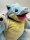 Pokemon Turtok 25 cm Kuscheltier Pl&uuml;schtier Stofftier Weitentwicklung Schiggy Anime Kawaii Plush Stofftier Cute Plushie Halloween Weihnachten Geschenke f&uuml;r Kinder