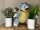Pokemon Turtok 25 cm Kuscheltier Pl&uuml;schtier Stofftier Weitentwicklung Schiggy Anime Kawaii Plush Stofftier Cute Plushie Halloween Weihnachten Geschenke f&uuml;r Kinder