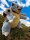 Pokemon Turtok 25 cm Kuscheltier Pl&uuml;schtier Stofftier Weitentwicklung Schiggy Anime Kawaii Plush Stofftier Cute Plushie Halloween Weihnachten Geschenke f&uuml;r Kinder