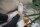 Knit Factory Miles Socken Anthrazit 36-40