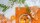 Knit Factory Topflappen Block Ecru/Orange