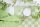 Knit Factory Tischset Block Ecru/Spring Green