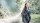 Knit Factory Dusk Poncho Cape Laurel/Urban Green
