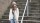 Knit Factory Becky Kurze Strickjacke Iced Clay 40/42