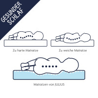 Julius Zöllner Dr. Lübbe Air Plus Wiegenmatratze 90x50